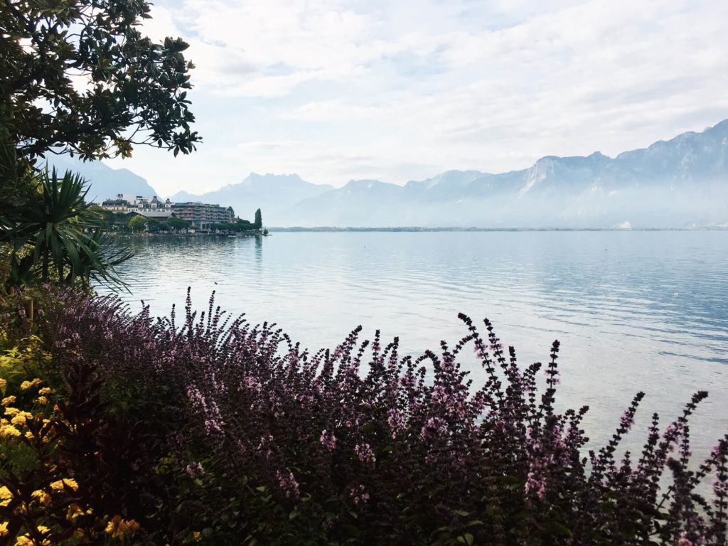 Un seminaire nature en bord de lac Out Of Reach