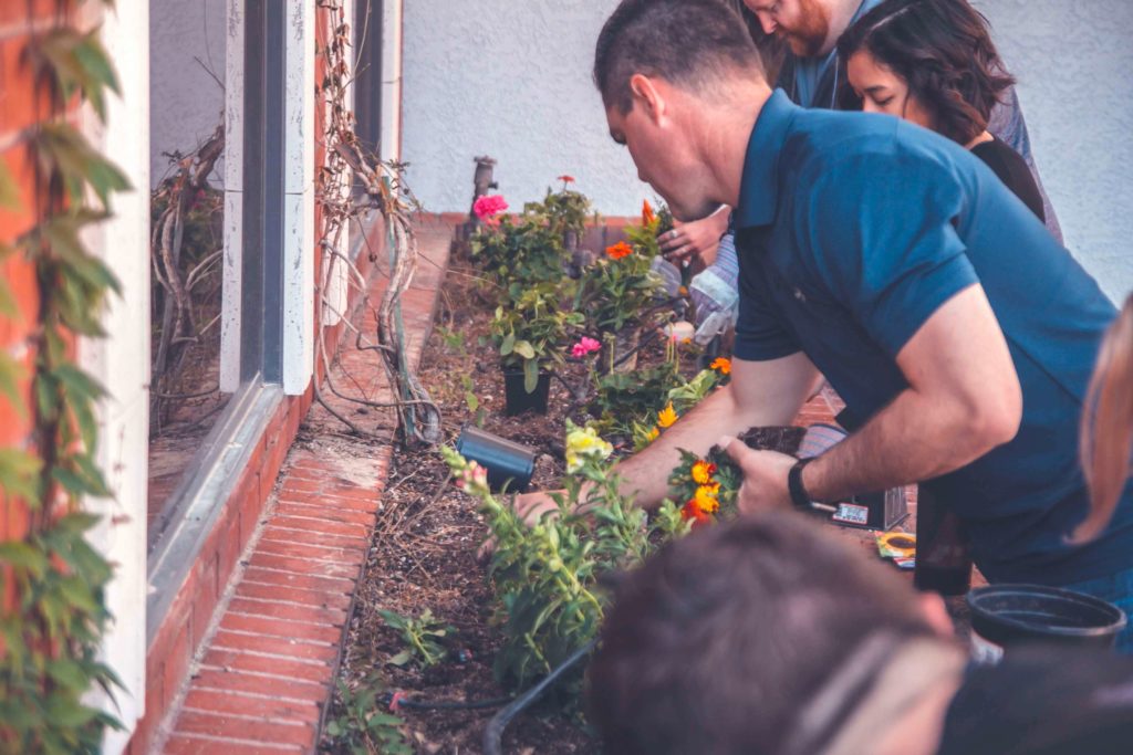 Un teambuilding nature pour découvrir la permaculture Out Of Reach